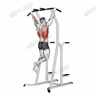Wide Grip Pull Up on Dip Cage exercise targeting Back