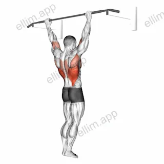 Wide Grip Rear Pull Up exercise targeting Back