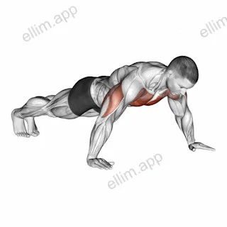Wide Hand Push up exercise targeting Chest and Pectoralis Major Sternal Head