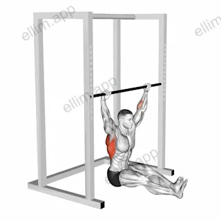 Wide Seated Pull up exercise targeting Back
