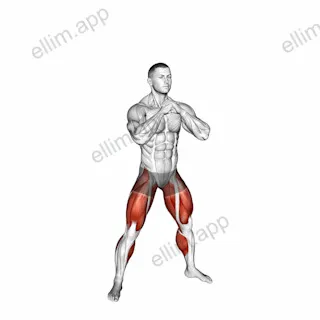 Wide Stance Jump Squat to Narrow Stance Jump Squat exercise targeting Hips