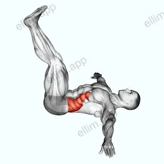 Wipers (straight leg) exercise targeting Waist and Obliques