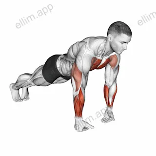 Wrist Full Push-up exercise targeting Chest